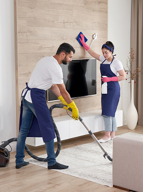 Domestic Cleaning